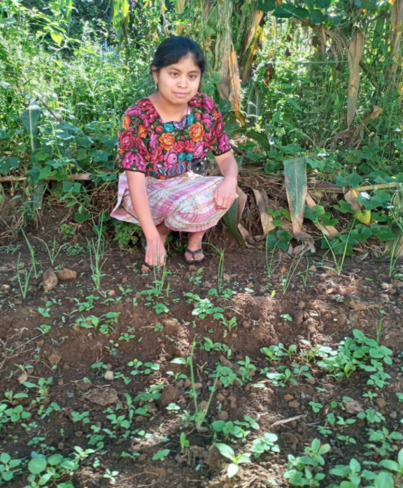 María Filomena Sic Gabriel, from the community of Xenimaquin, is an entrepreneurial young woman who hopes to overcome her family’s current economic situation. María states that the family garden has been of great economic help in reducing expenses, because when they need something to prepare at home and cook, she heads to her vegetable garden for healthy eating options. She has also been cultivating extra to be able to sell it and earn an income.